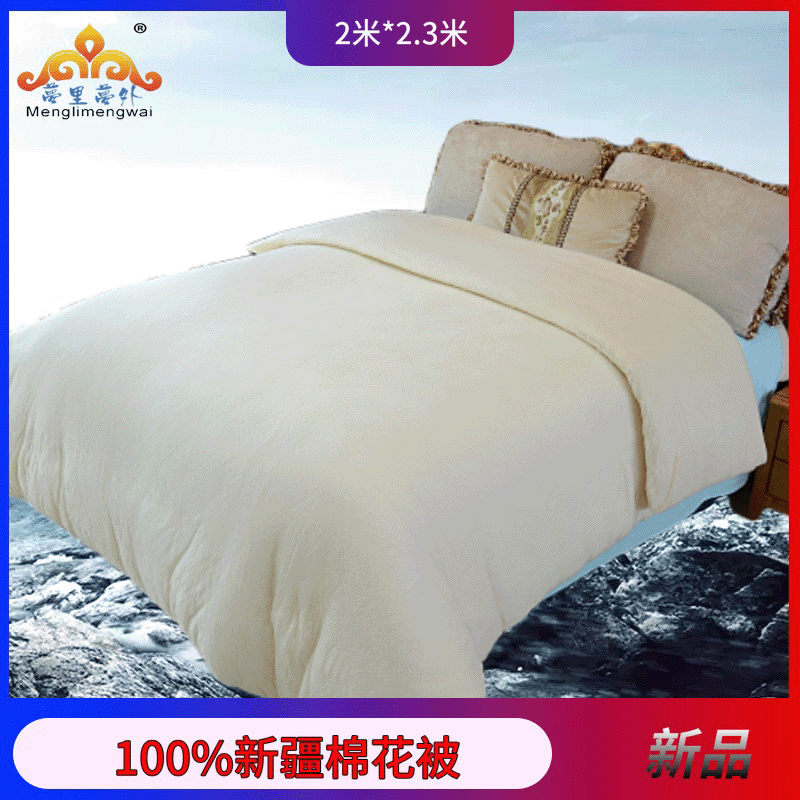 包邮秋冬新款200*230新疆棉花被棉被芯家用床品双人盖被一件代发