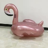 Rose golden firebird