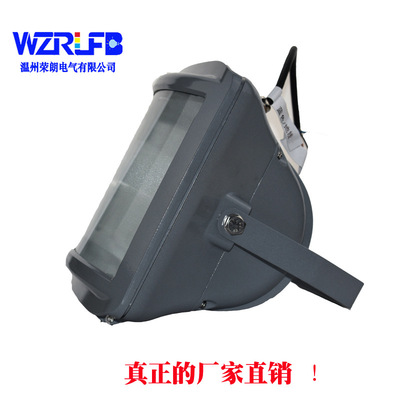 推荐NSE9720 TG707E防眩应急通路灯35W70W金卤灯 三防照明灯厂家