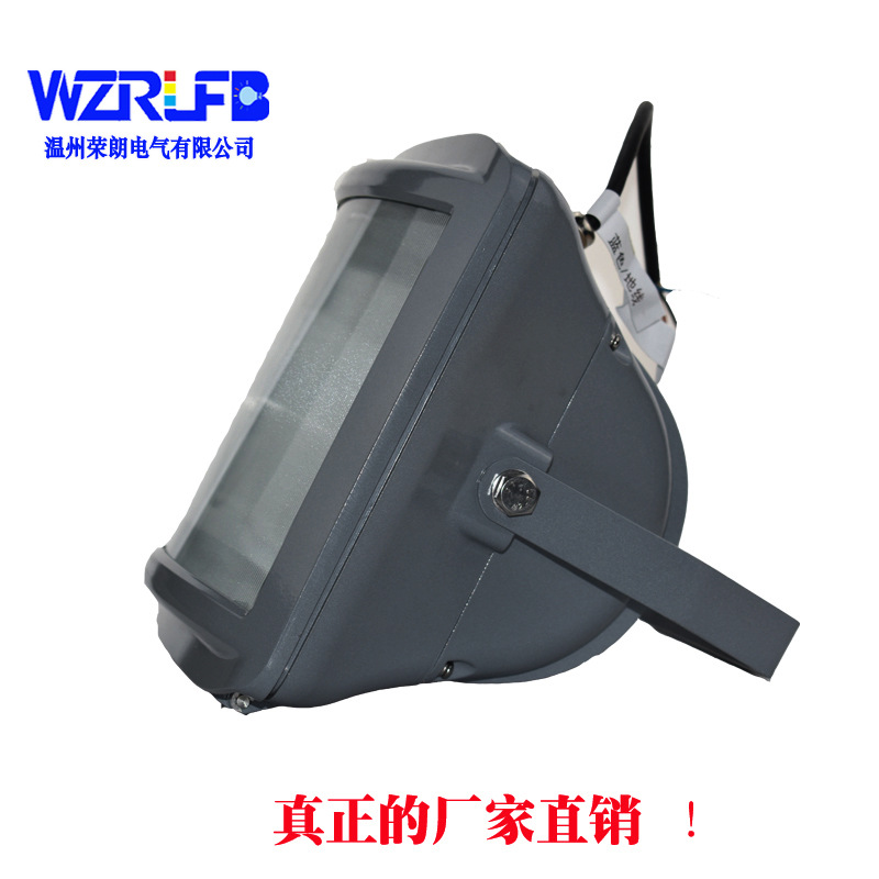 推荐NSE9720 TG707E防眩应急通路灯35W70W金卤灯 三防照明灯厂家