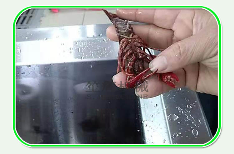 热销 超声波清洗机饭店酒店果蔬清洗机洗菜机 长期供应