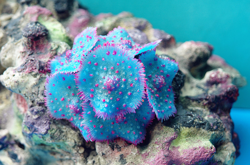 2692558443_1103982721