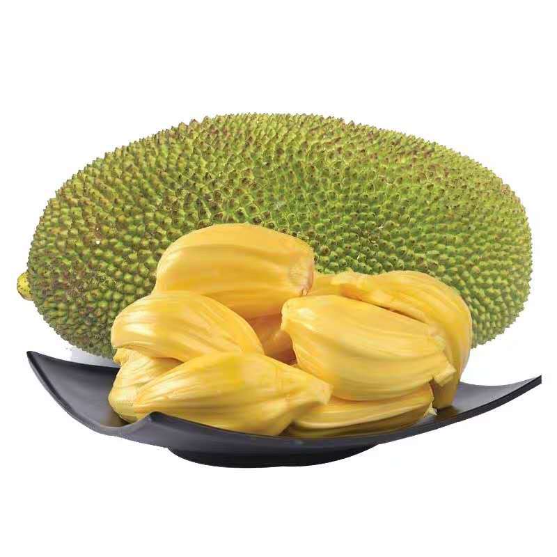 海南特价 天然黄肉菠萝蜜 新鲜水果 包邮批发 产地直达  一件代发|ms
