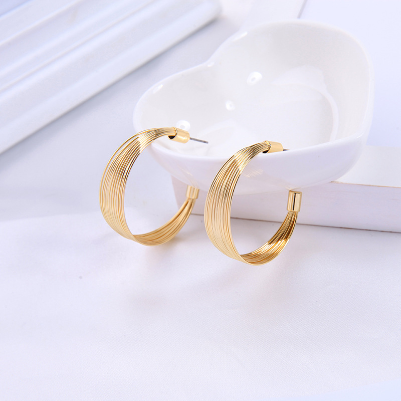 Simple Niche Earrings Fashion Wild Geometric Semicircular Stud Earrings New Earrings display picture 3