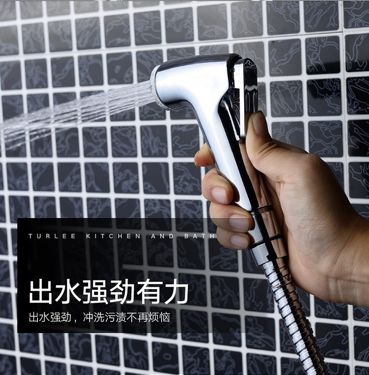 Bedroom spray gun plastic ABS electroplated bathroom toilet companion bidet flusher spray gun hose set