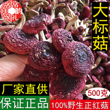 福建野生紅菇干貨大量批發產地直供雲南廣西正紅菇非二紅  500克