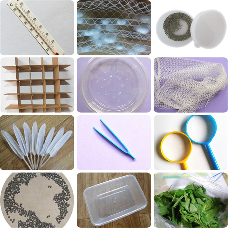 蠶寶寶飼養盒養蠶工具套裝齊全小蠶孵化幼蠶透氣鑷子羽毛學生觀察