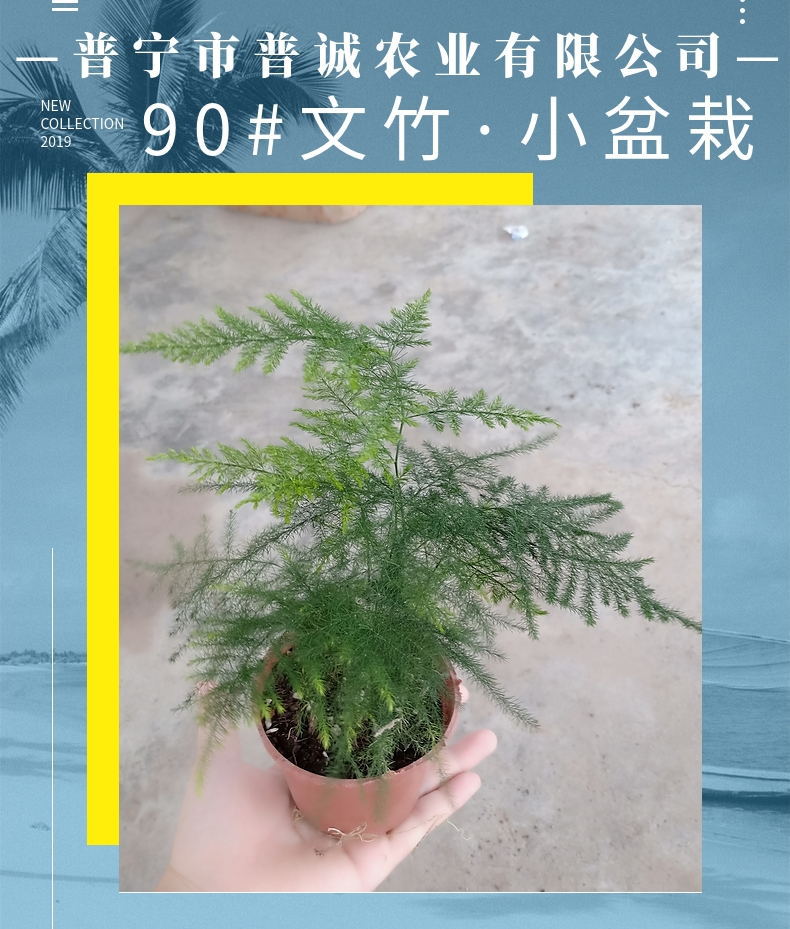 ��������4