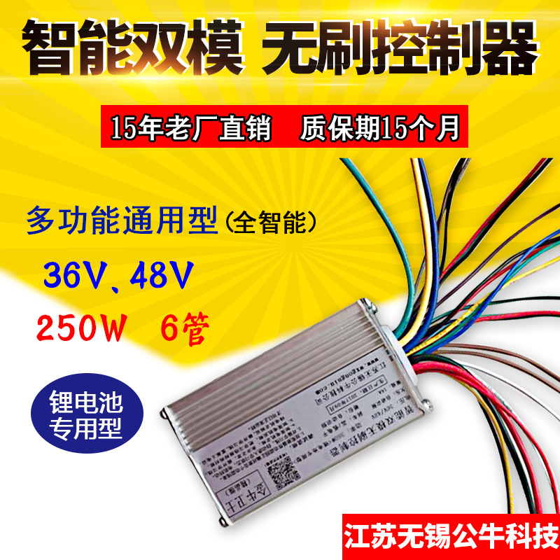 36V48V intelligence Dual 6 250W lithium battery Electric vehicle a storage battery car DC controller