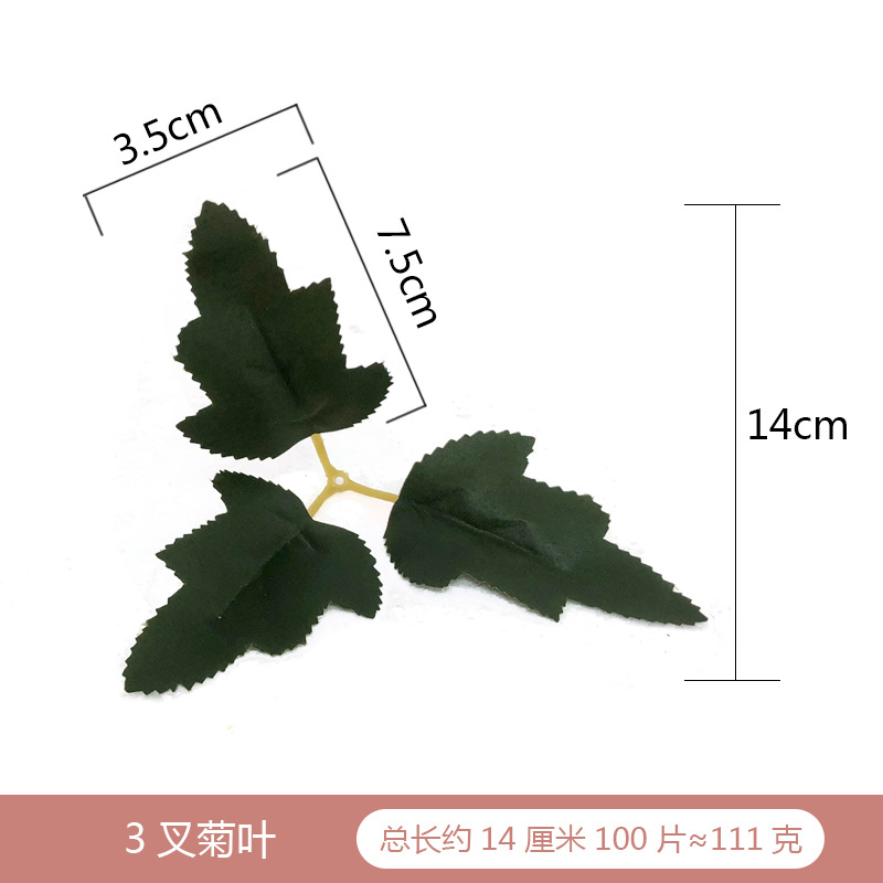 3叉菊叶