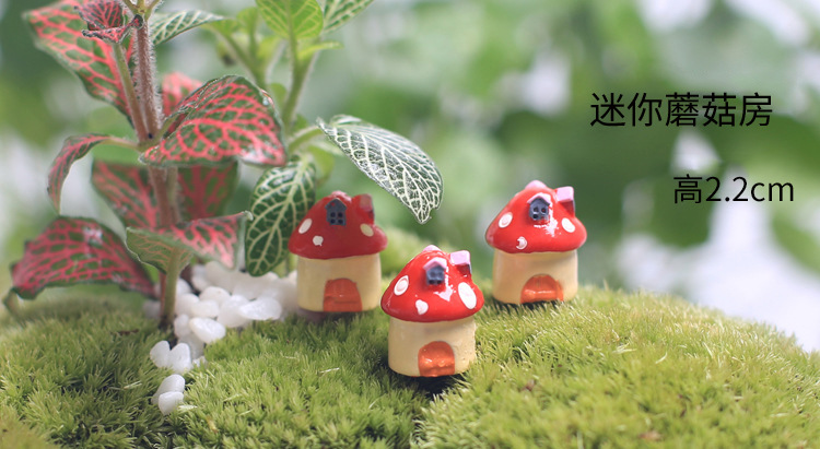 TB2LQEDcFXXXXaCXXXXXXXXXXXX_!!