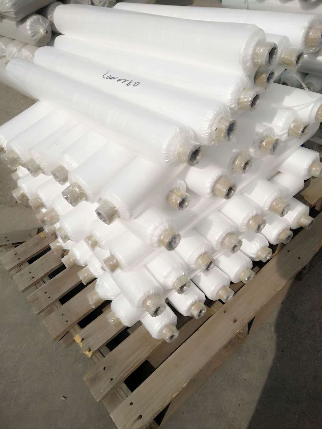 ����Ĥ ��Ĥ ����������������Ĥ