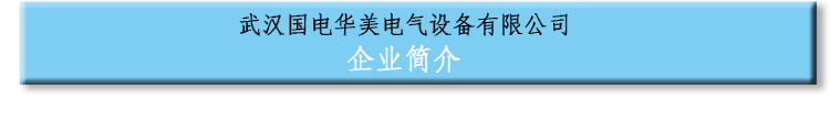 公司简介1
