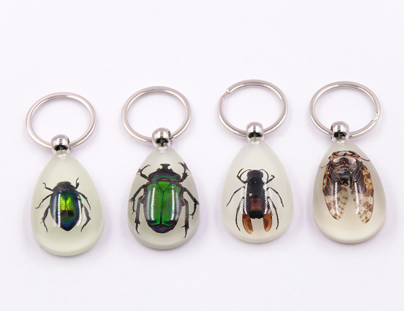 8876778634_1860590336