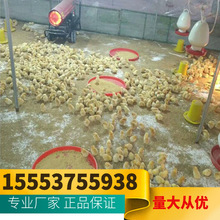 �ů�L�C�ԃr�ȸ� ��������ů�L�C 20KW���Iů�L�C