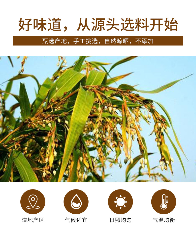 Yi Mi Ren (Coix lacryma-jobi) — Dried Job's Tears Grain, 500g Bottle for Tea & Soup key features