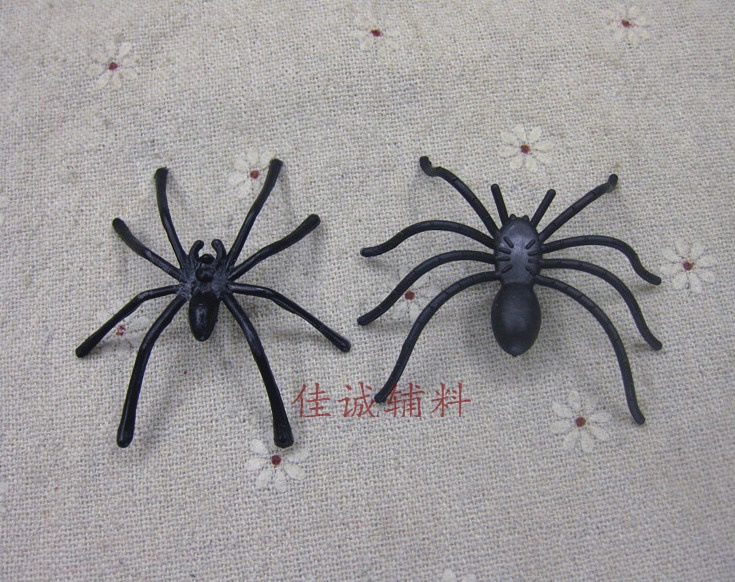 新旧长脚蜘蛛