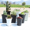 Nanye Family Horticultural Plastic Flower Basin Vientiane High -waisted Black Fruits Black Study Merbal Root