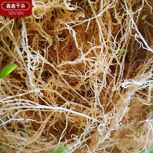 �}�n�Rβ����횲˺����L�۲˺����z���ʳ������ă�