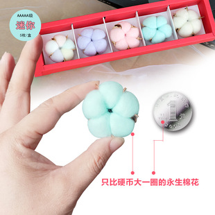 Wholesale mini small cotton 5 flowers eternal flower gift box rose cotton dried flower gift box 3-4cm/flower