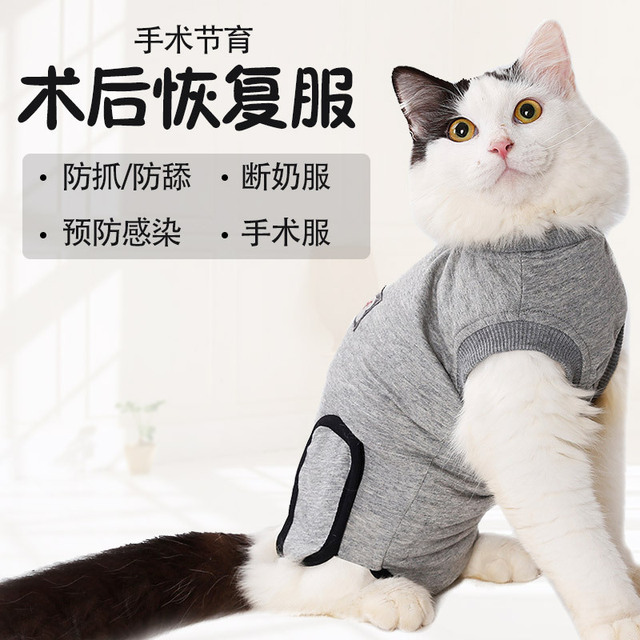 猫绝育服公母猫绝育衣服手术服断奶服夏季薄款防掉毛术后服防舔 价格 厂家 哪里买 我有货