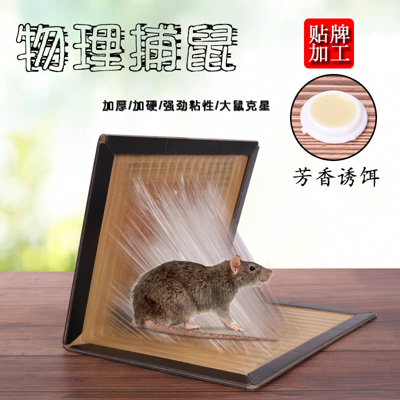 厂家直销优叶40克条型胶粘鼠板 灭鼠老鼠贴 新型胶水厂家批发
