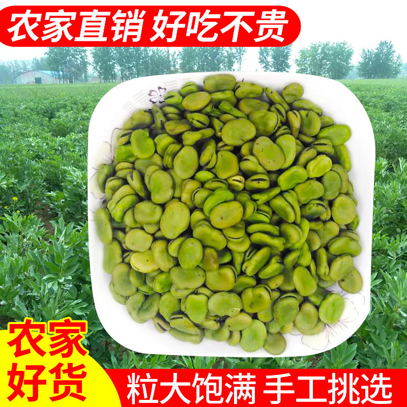 新鮮幹蠶豆農家新貨生的綠胡豆種籽可發芽做油炸羅漢豆散裝5斤裝