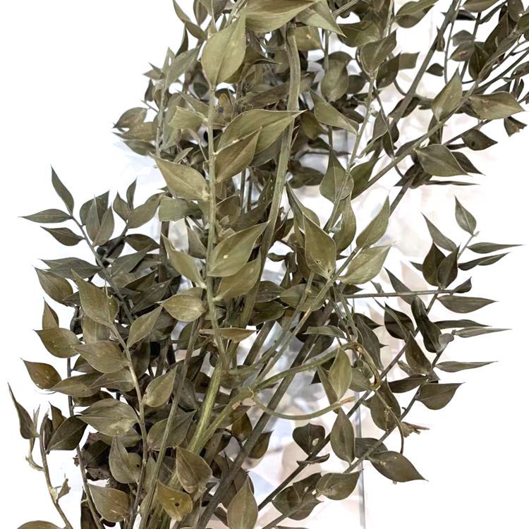 微信图片_20191230134839