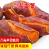 Shunfeng Fujian Sand sweet potato Roasted sweet potato Zhangzhou Sweet potato