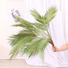 Ins���W���~�������~�ߙn 7��ɢβ�� �Ҿ��b���ֲ����~