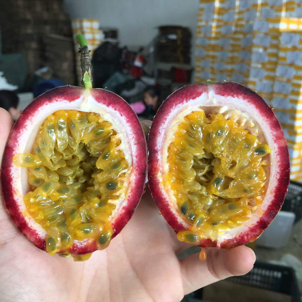 微信图片_20190624100939