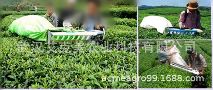 9027790816_901932020