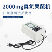 2000mg臭氧发生器 (220v 8升)加定时器 洗菜消毒机果蔬解毒机鱼缸