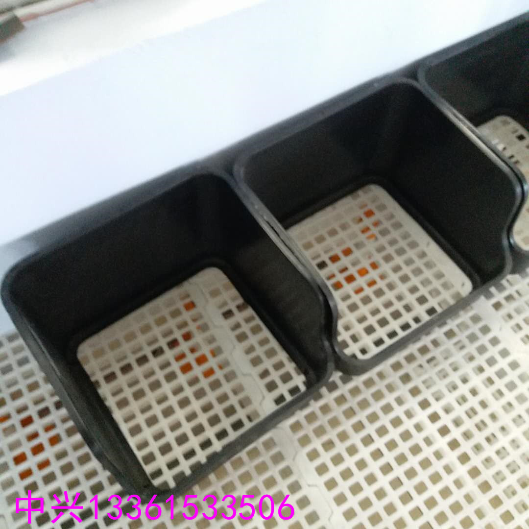 种鸭蛋窝 种鸭场用鸭蛋窝  优质塑料鸭蛋窝厂家