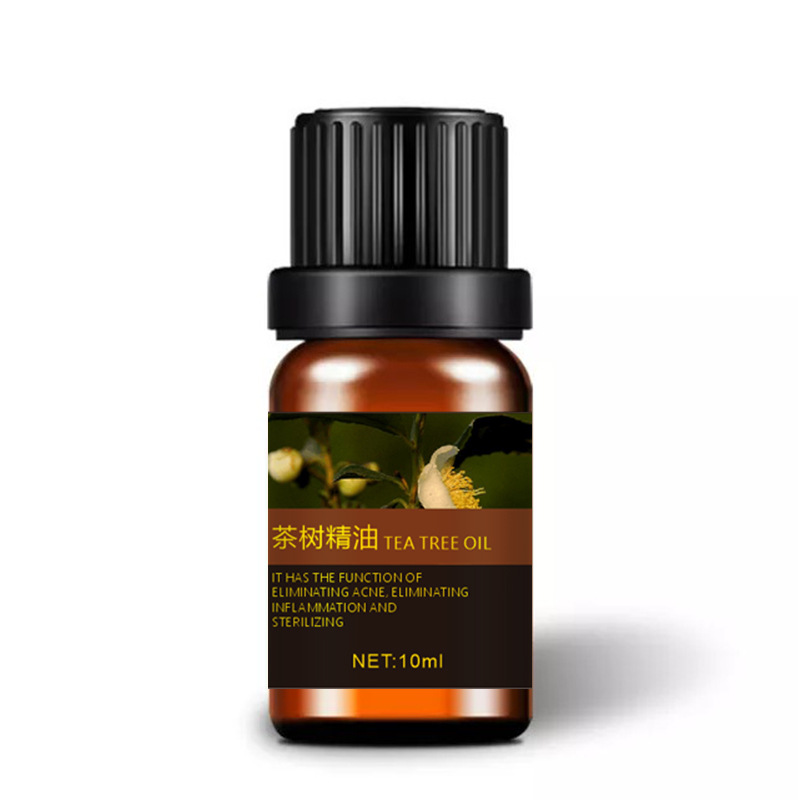 Tea Tree Oil Dilute smallpox in India essential oil Essential oils raw material wholesale essential oil OEM
