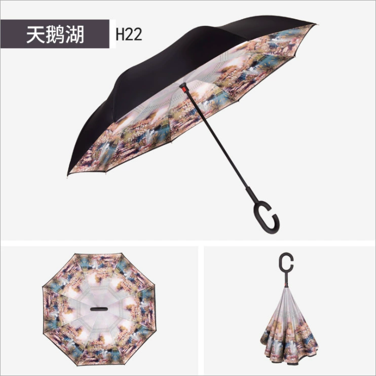 Double-layer umbrella for car, Birthday gift