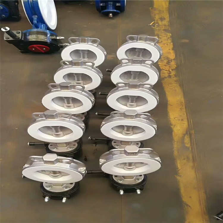 D371F-10P/16P DN600 涡轮不锈钢衬氟 衬胶对夹式软密封蝶阀