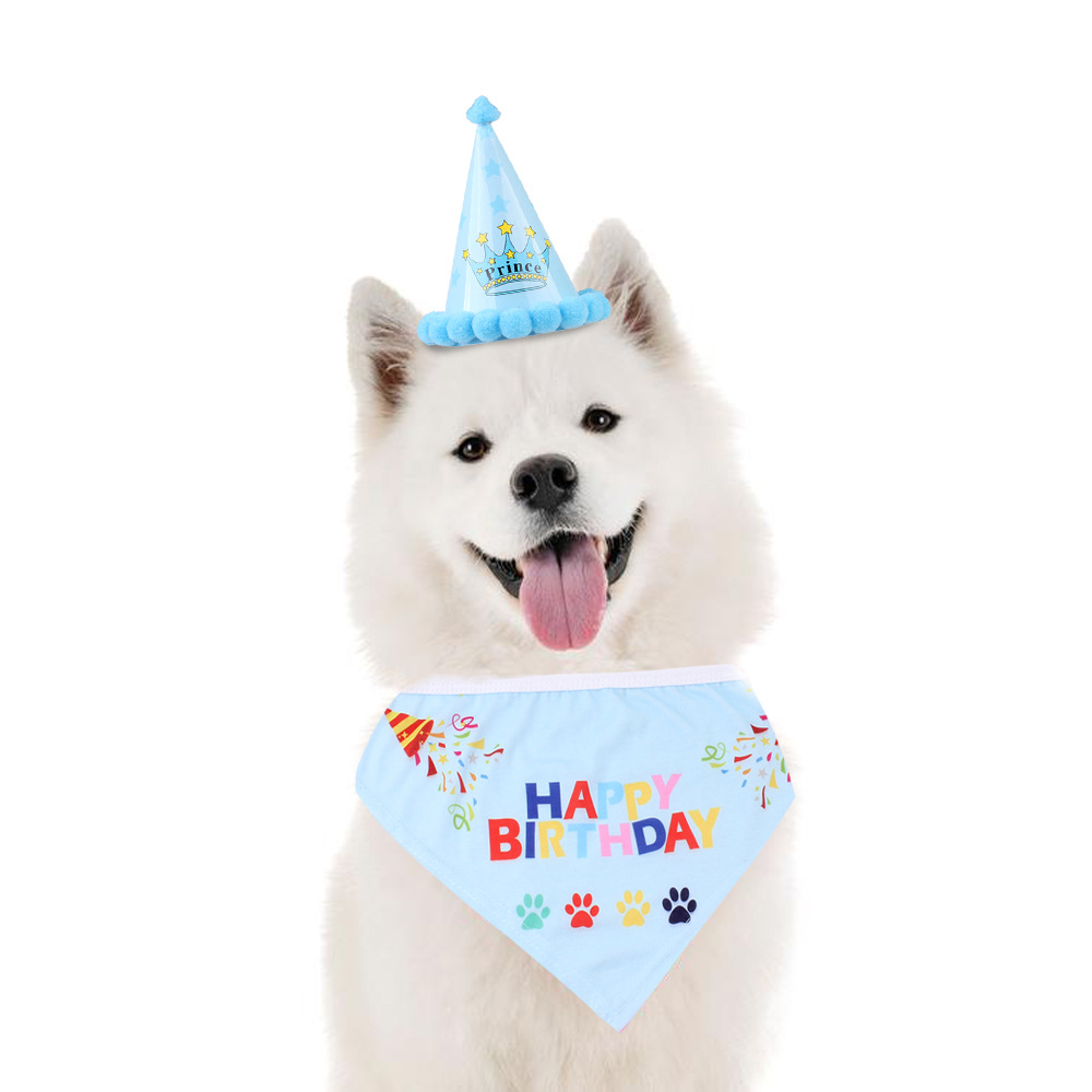Dog with a birthday hat Clearance