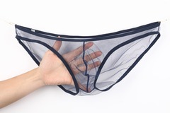 AliExpress GAY LGBTQ+ Men's Underwear: See-Through Mesh Low-Rise Briefs, Plus Size C034