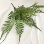 蕨类手感仿真软性绿植