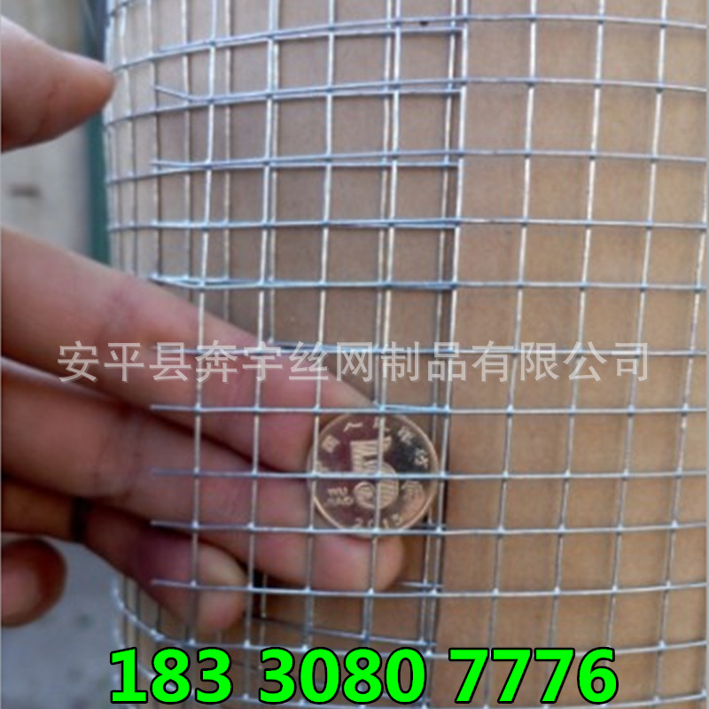 厂家现货批发 鸽子笼养专用铁丝铁丝网 漏粪铁丝网 规格全