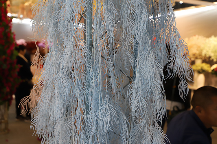 凤尾草 效果图9.jpg