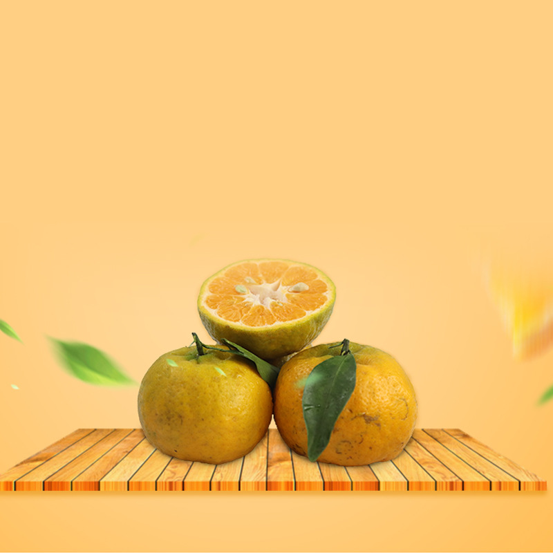 四川屏山新鲜碰柑非丑橘不知火孕妇水果现摘现发一件代发批发|ms