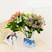 5^ӭĭ 滨҃bƷ͏d廨ϻk[