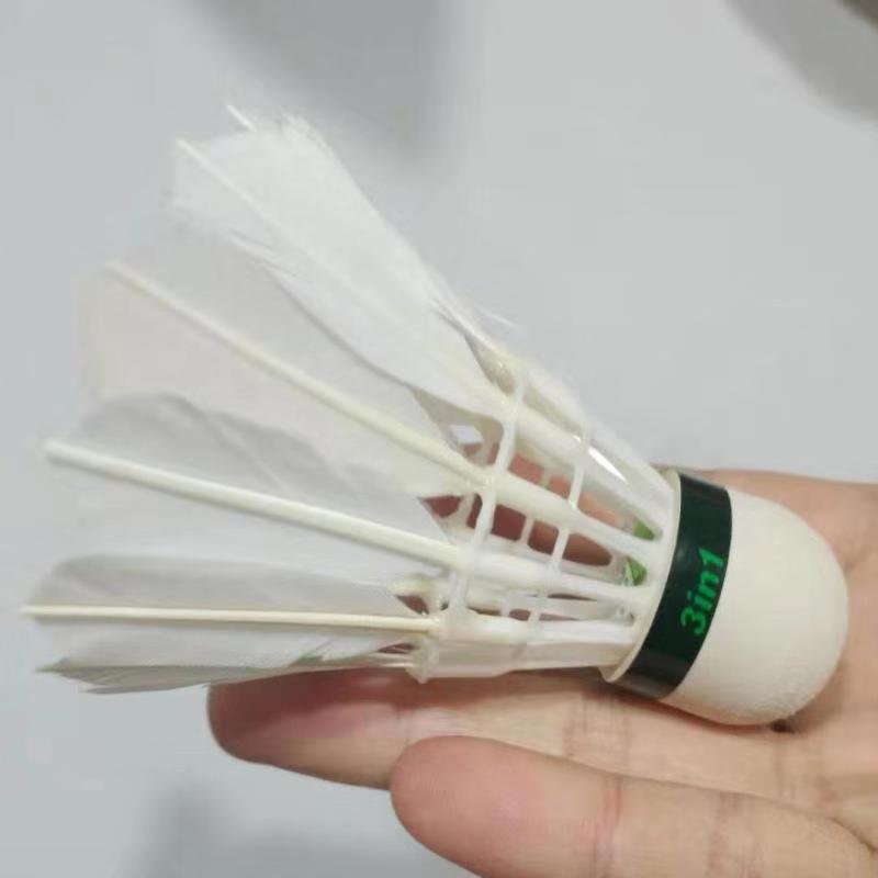 WeChat Picture_20191128091605