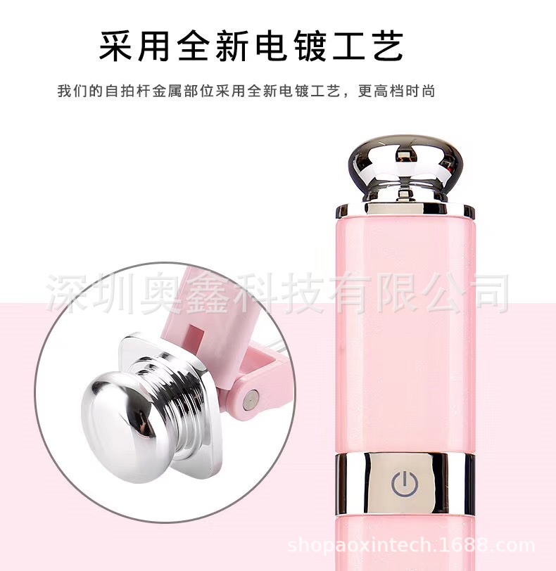 Perche selfie en Acier inoxydable - Ref 3387014 Image 1