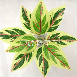 仿真剑兰叶 手感把束仿真花婚庆用品仿真植物墙绿植装饰假花