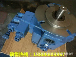 A10VS045DR/31R-PPA12N00