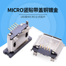 Ӧ180usbĸʽ micro4.0 5PINͭƽ