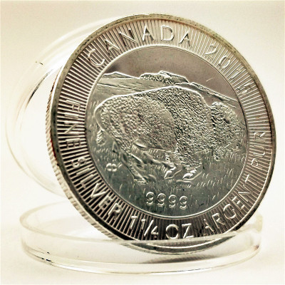 加拿大金银币野牛币枫叶币牦牛硬币 外国纪念币英联邦女王币|ms